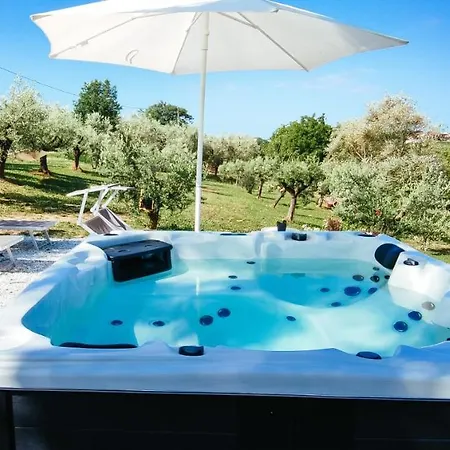 The Olive Grove In Tuscany Holiday home Toiano