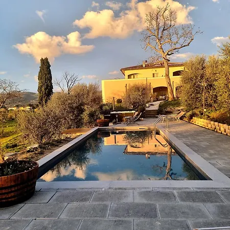 Vakantiehuis The Olive Grove In Tuscany Toiano