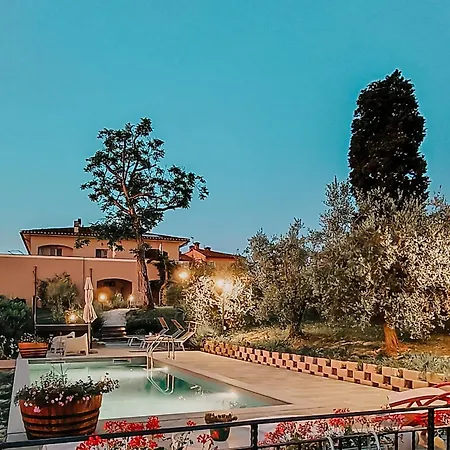 The Olive Grove In Tuscany Holiday home Toiano