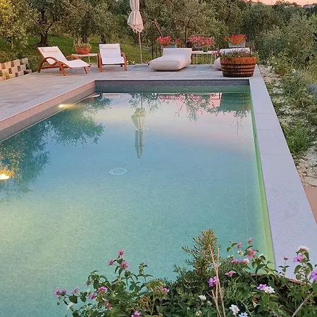 The Olive Grove In Tuscany Holiday home